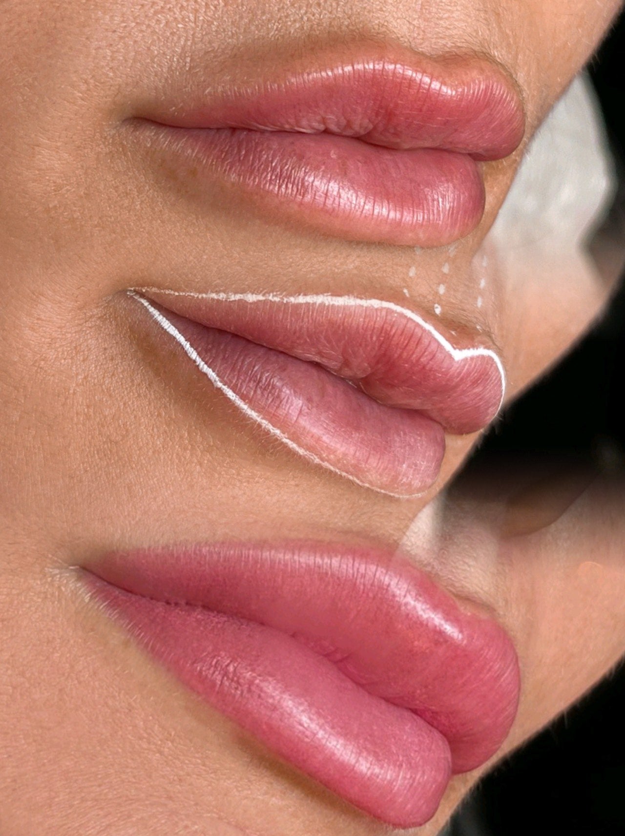 Master Professional Lip Blushing Pigments Ink - Lip Pigments for Permanent Lip Color – Professional Lip Tattoo Pigments